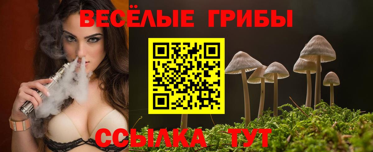 Астрахань  Псилоцибиновые грибы GOLDEN TEACHER  Вход с VPN  Галлюциногенные грибы Psilocybine cubensis 